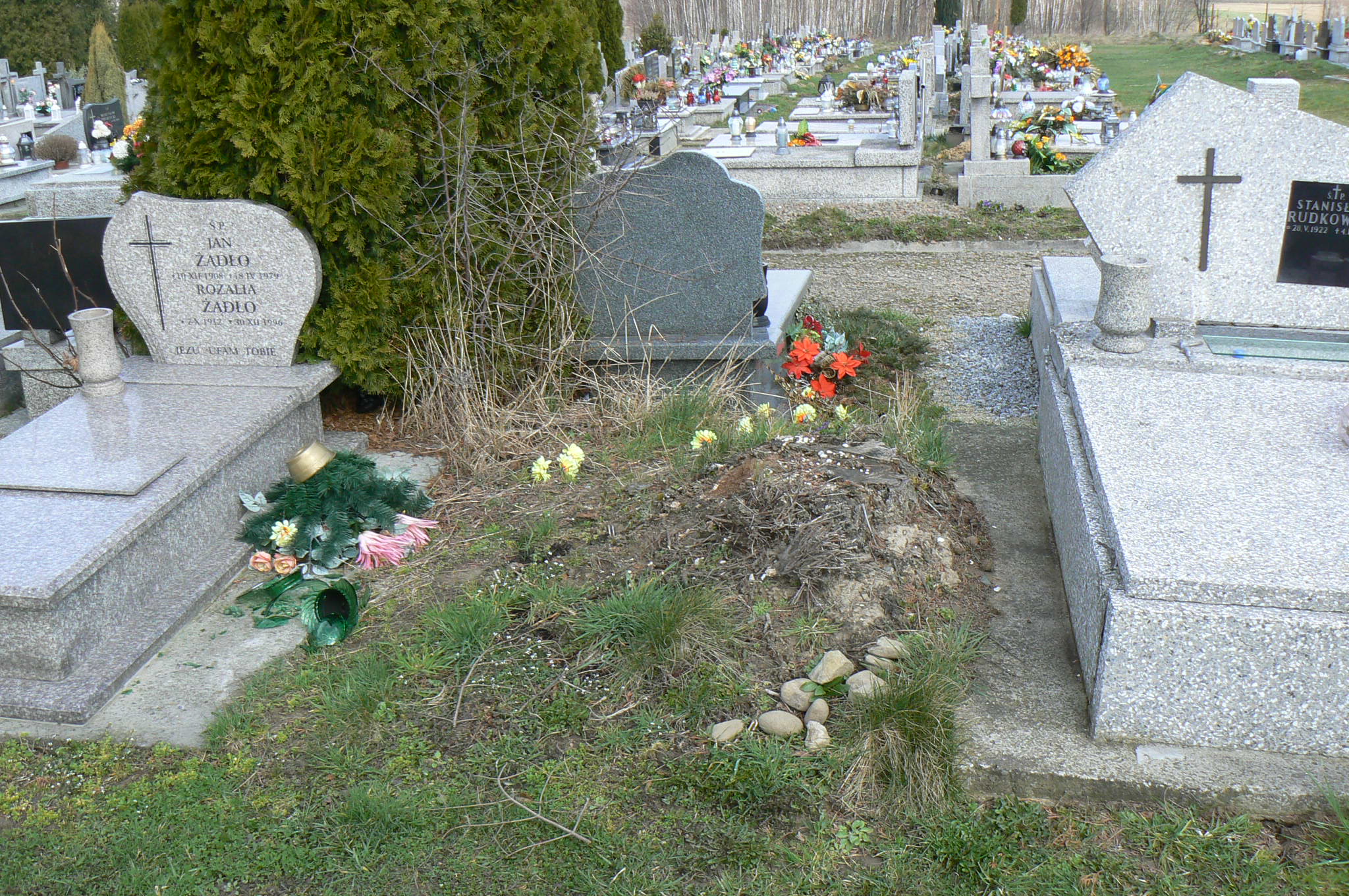 Grób Adam Siwek