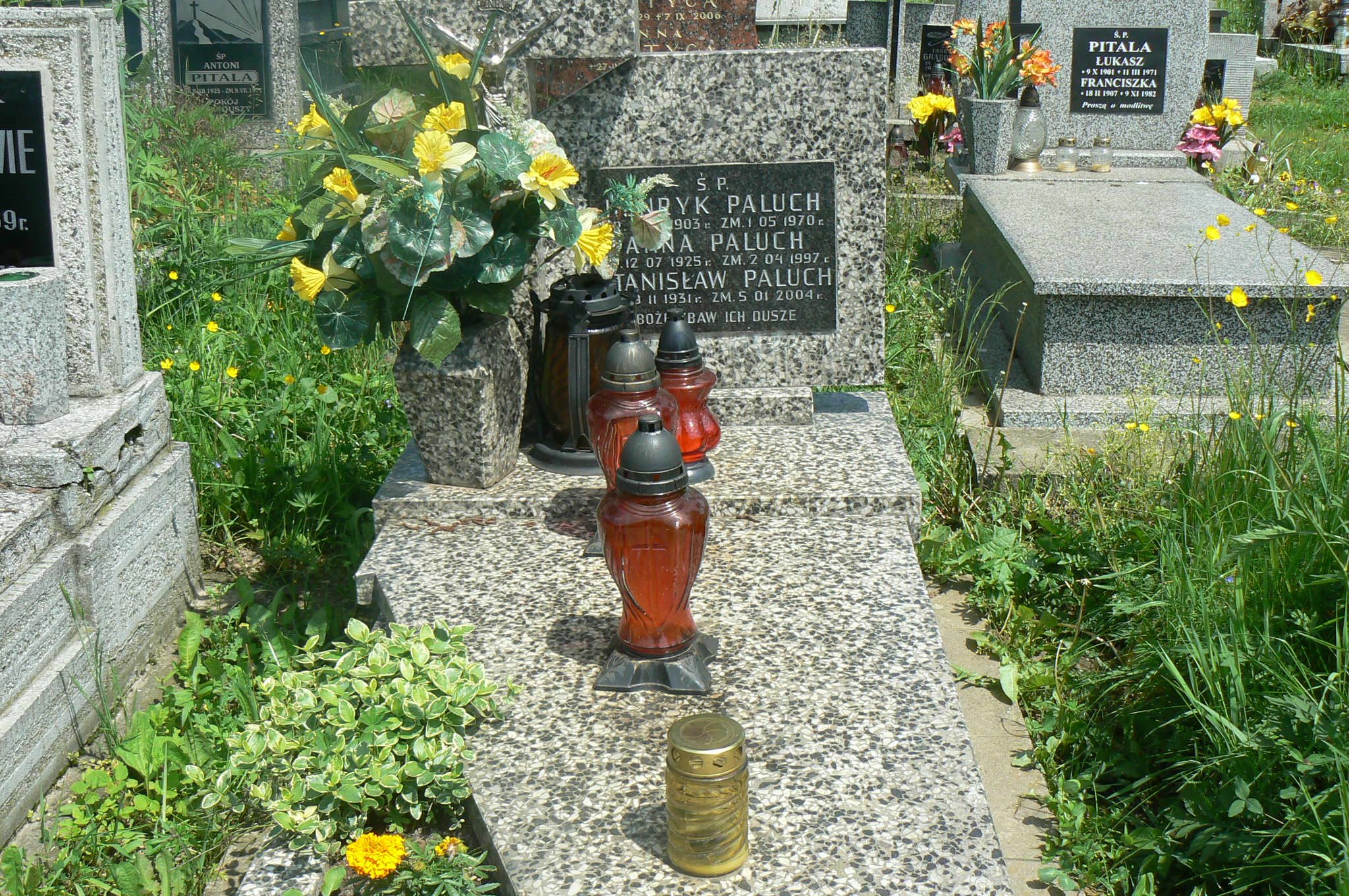 Stanisław Paluch 1931 Myślenice - Grobonet - Wyszukiwarka osób pochowanych