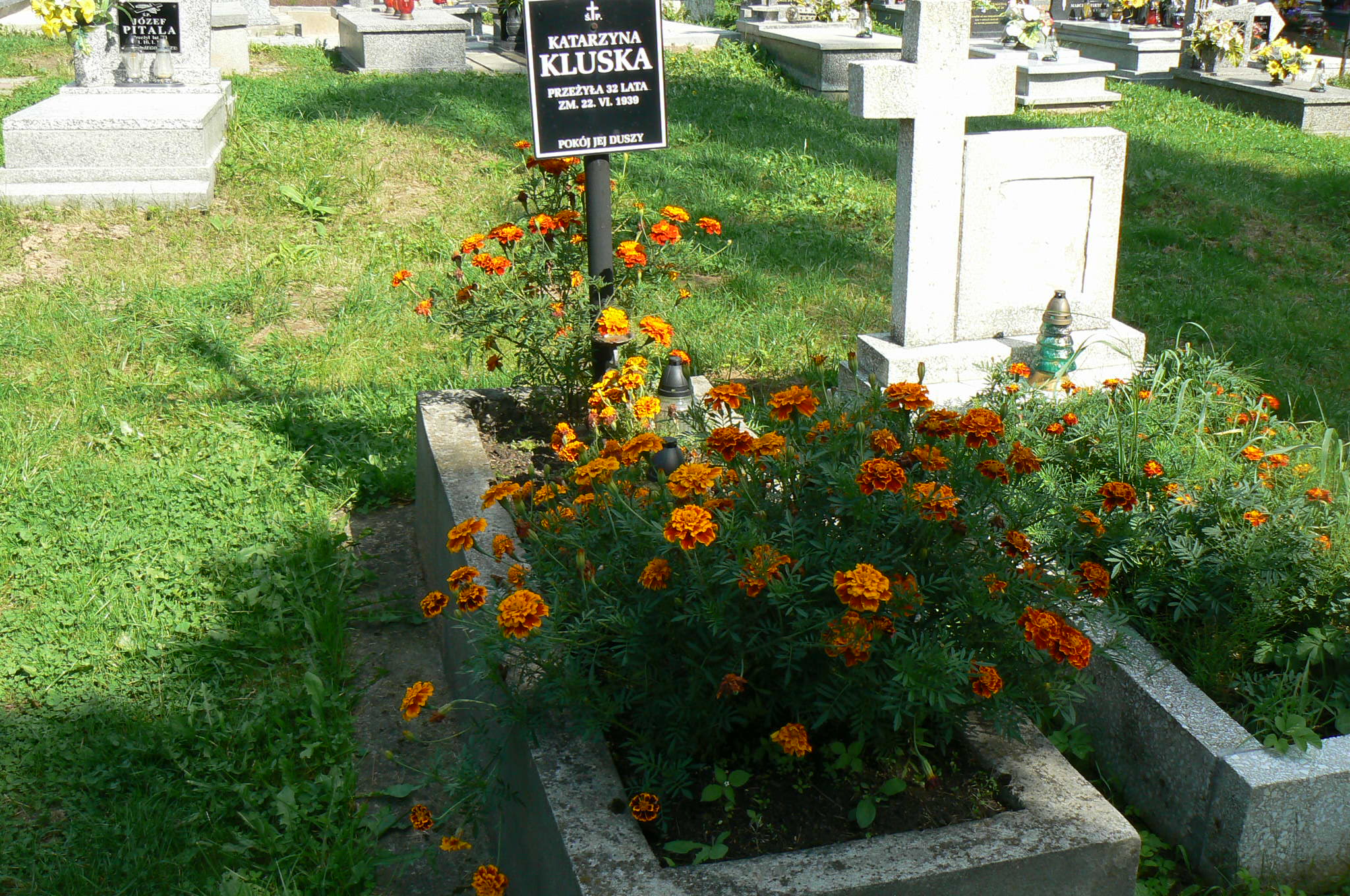 Katarzyna Kluska Myślenice - Grobonet - Wyszukiwarka osób pochowanych