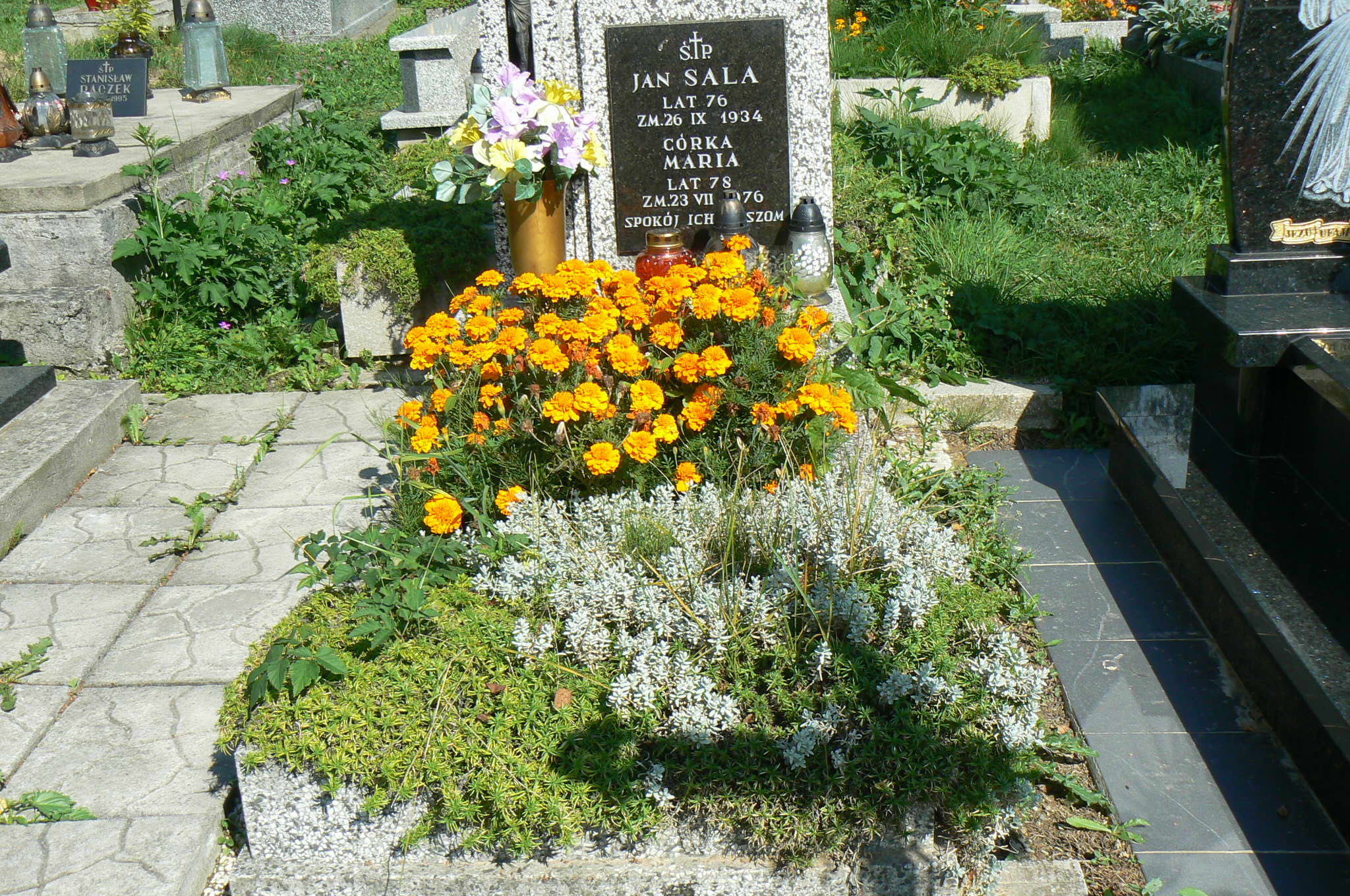 Jan Sala Myślenice - Grobonet - Wyszukiwarka osób pochowanych