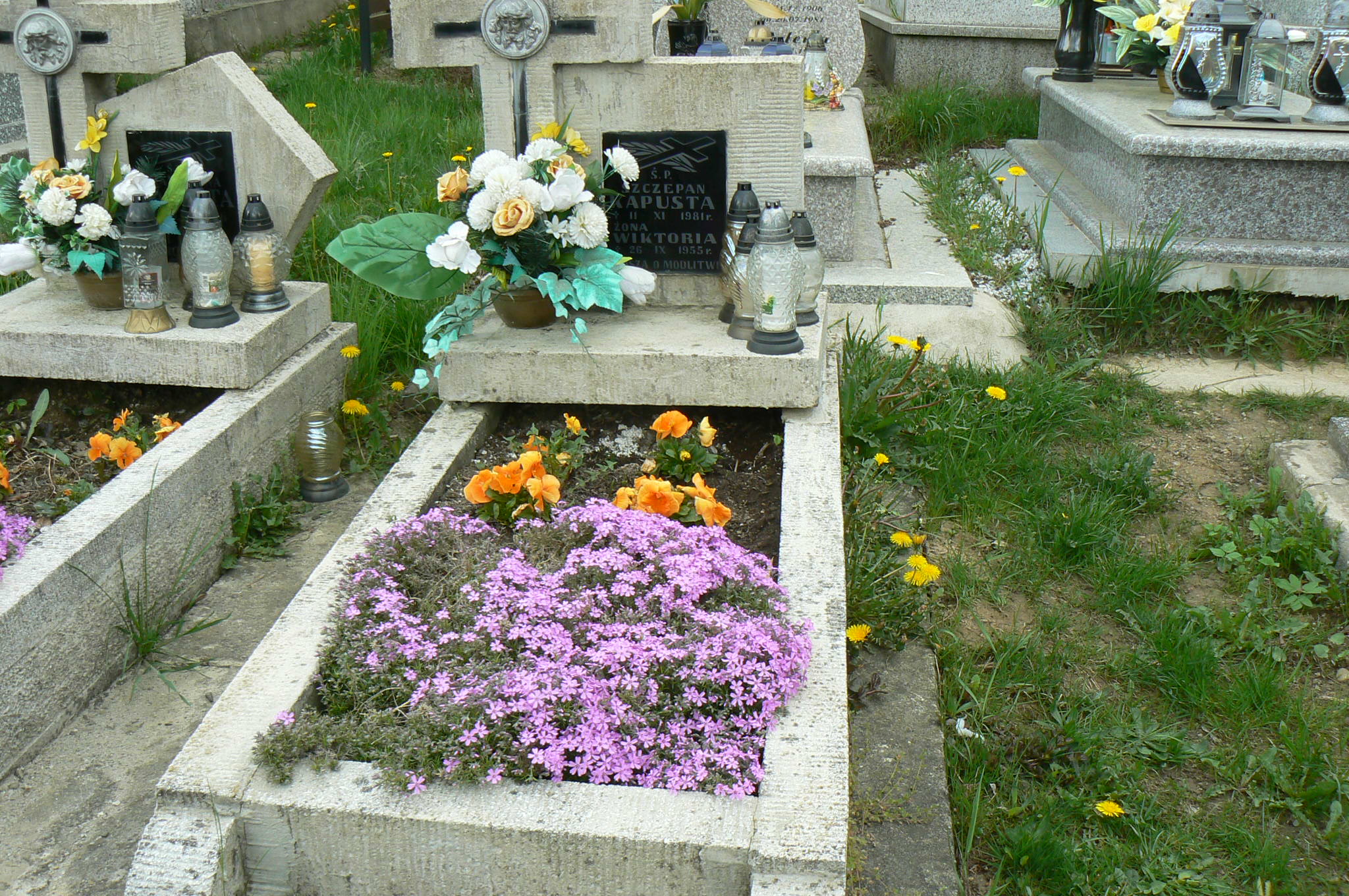 Stanisława Kapusta 1904 Myślenice - Grobonet - Wyszukiwarka osób pochowanych