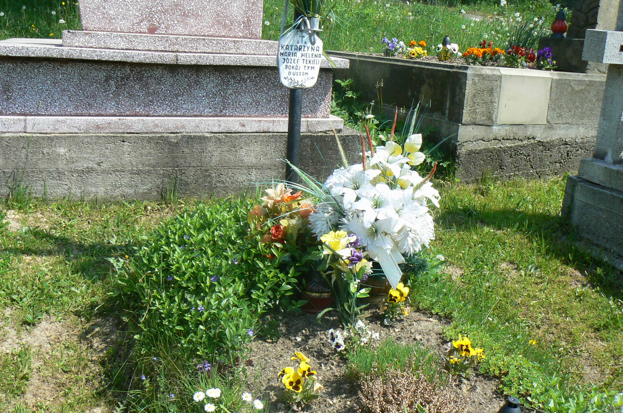 Grób Józef Tekieli