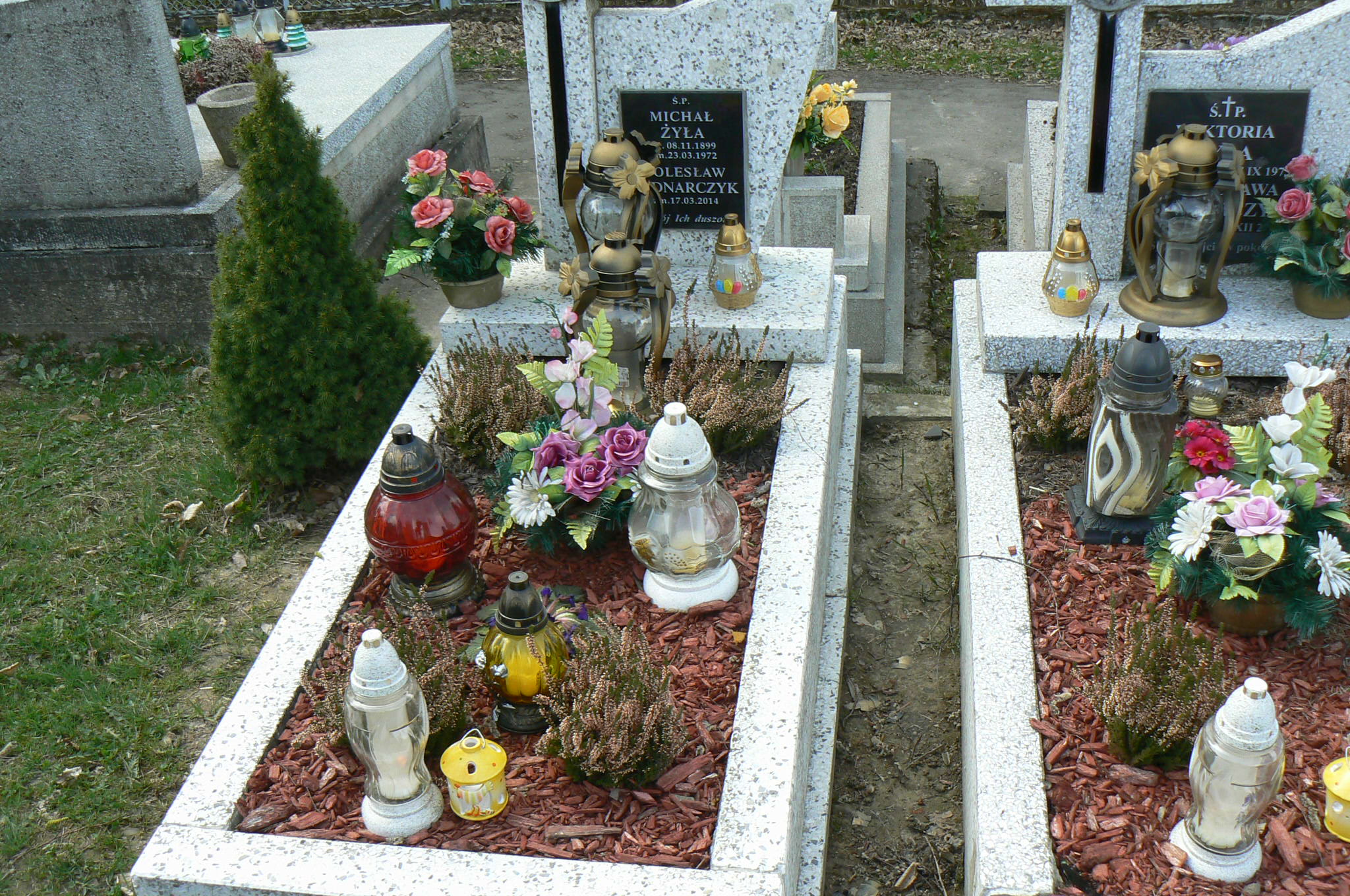 Grób Bolesław Bednarczyk