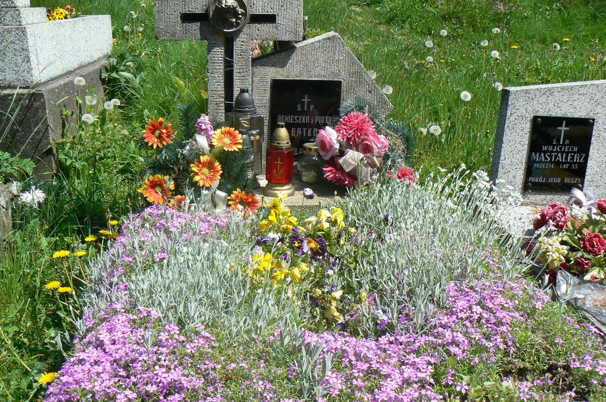 Piotr Batko Myślenice - Grobonet - Wyszukiwarka osób pochowanych