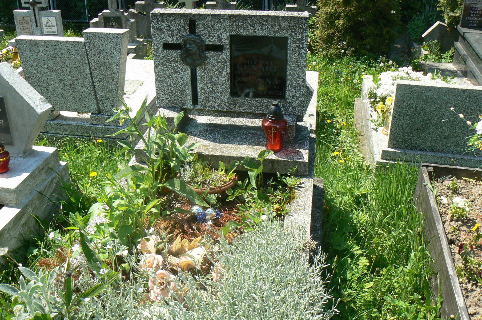 Michał Lenart Myślenice - Grobonet - Wyszukiwarka osób pochowanych