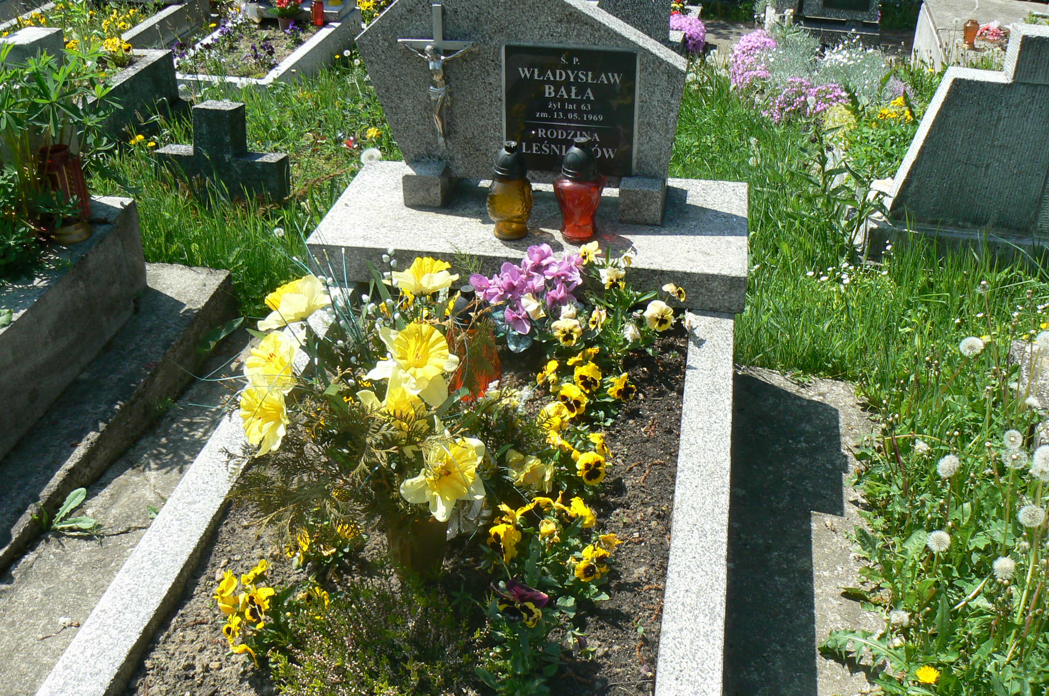 Władysław Bała Myślenice - Grobonet - Wyszukiwarka osób pochowanych