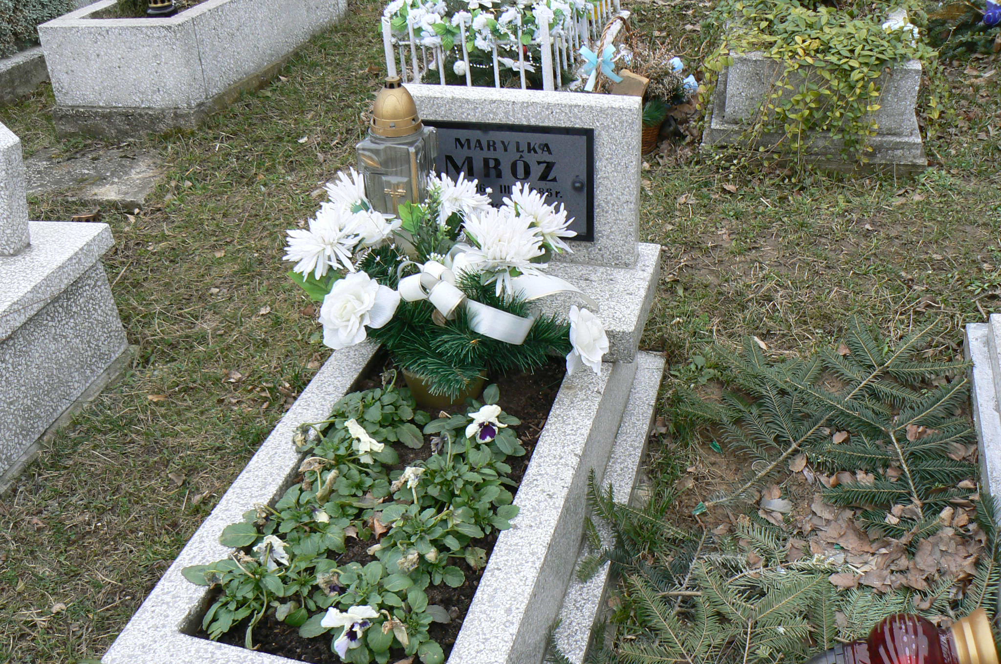 Grób Maryla Mróz