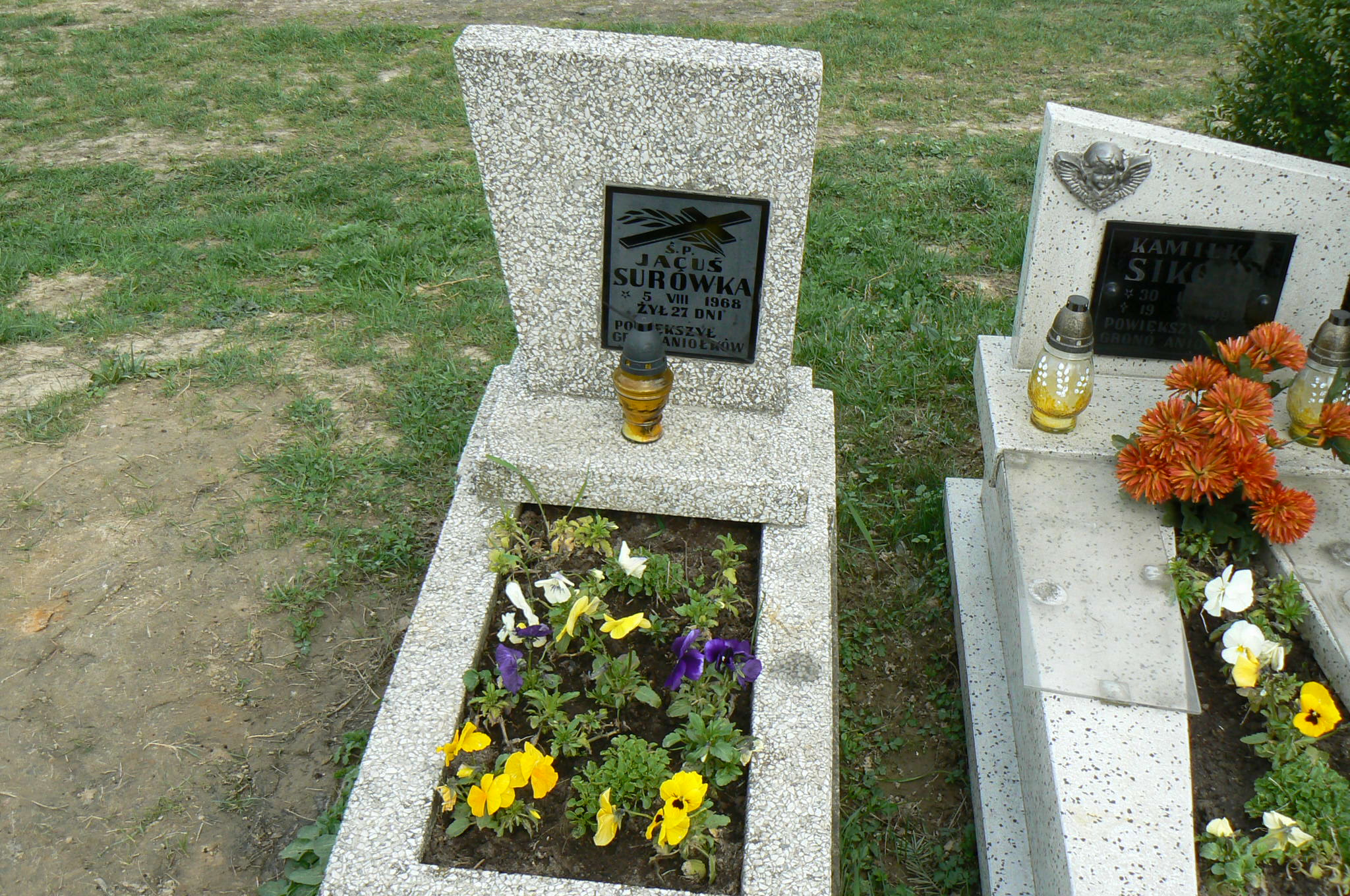 Jacek Surówka Myślenice - Grobonet - Wyszukiwarka osób pochowanych