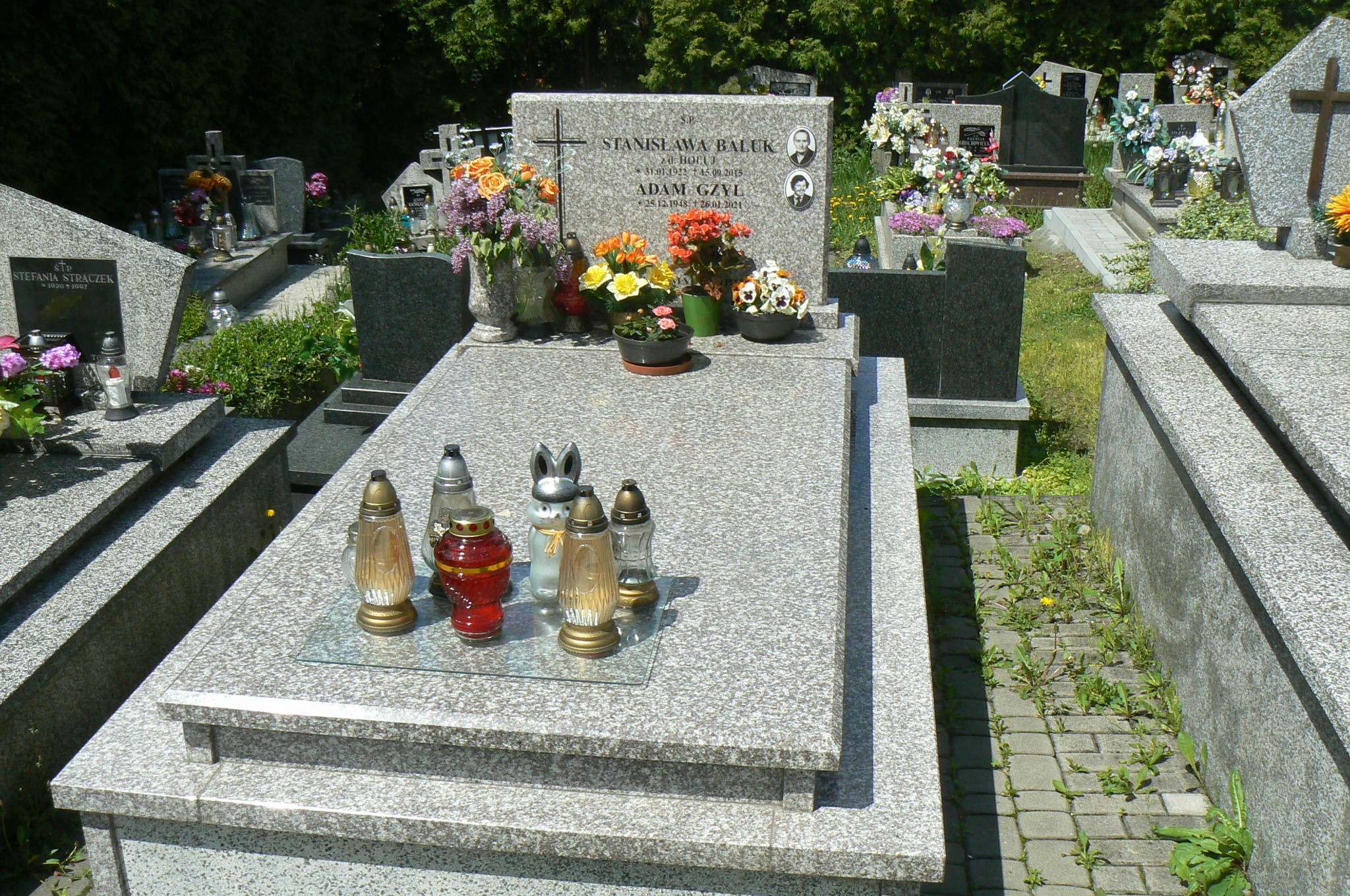 Adam Gzyl 1948 Myślenice - Grobonet - Wyszukiwarka osób pochowanych