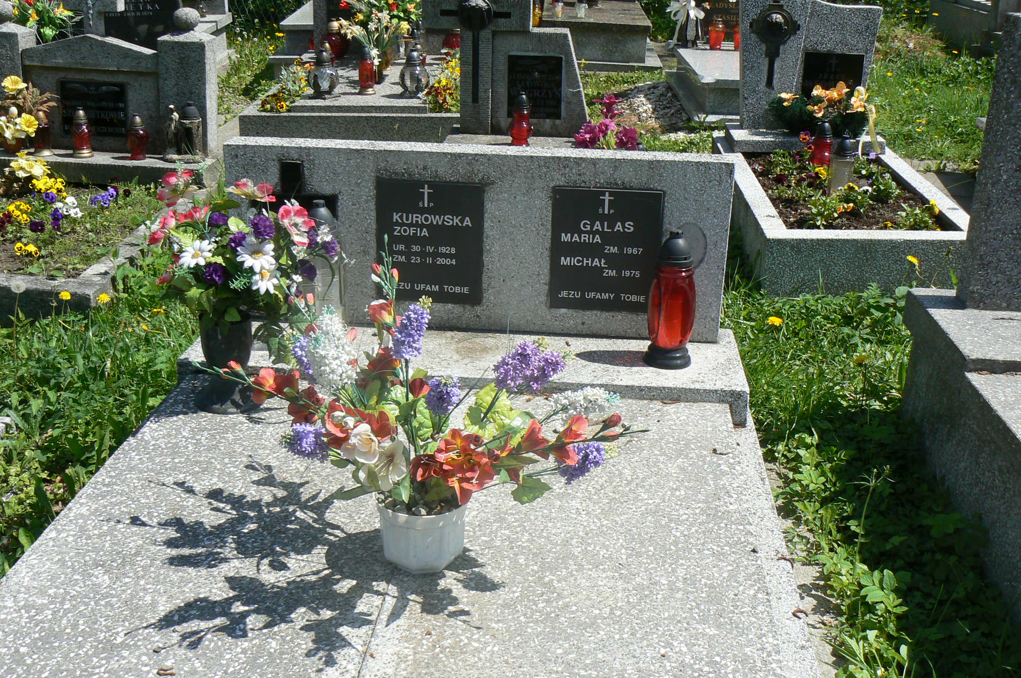 Michał Galas Myślenice - Grobonet - Wyszukiwarka osób pochowanych