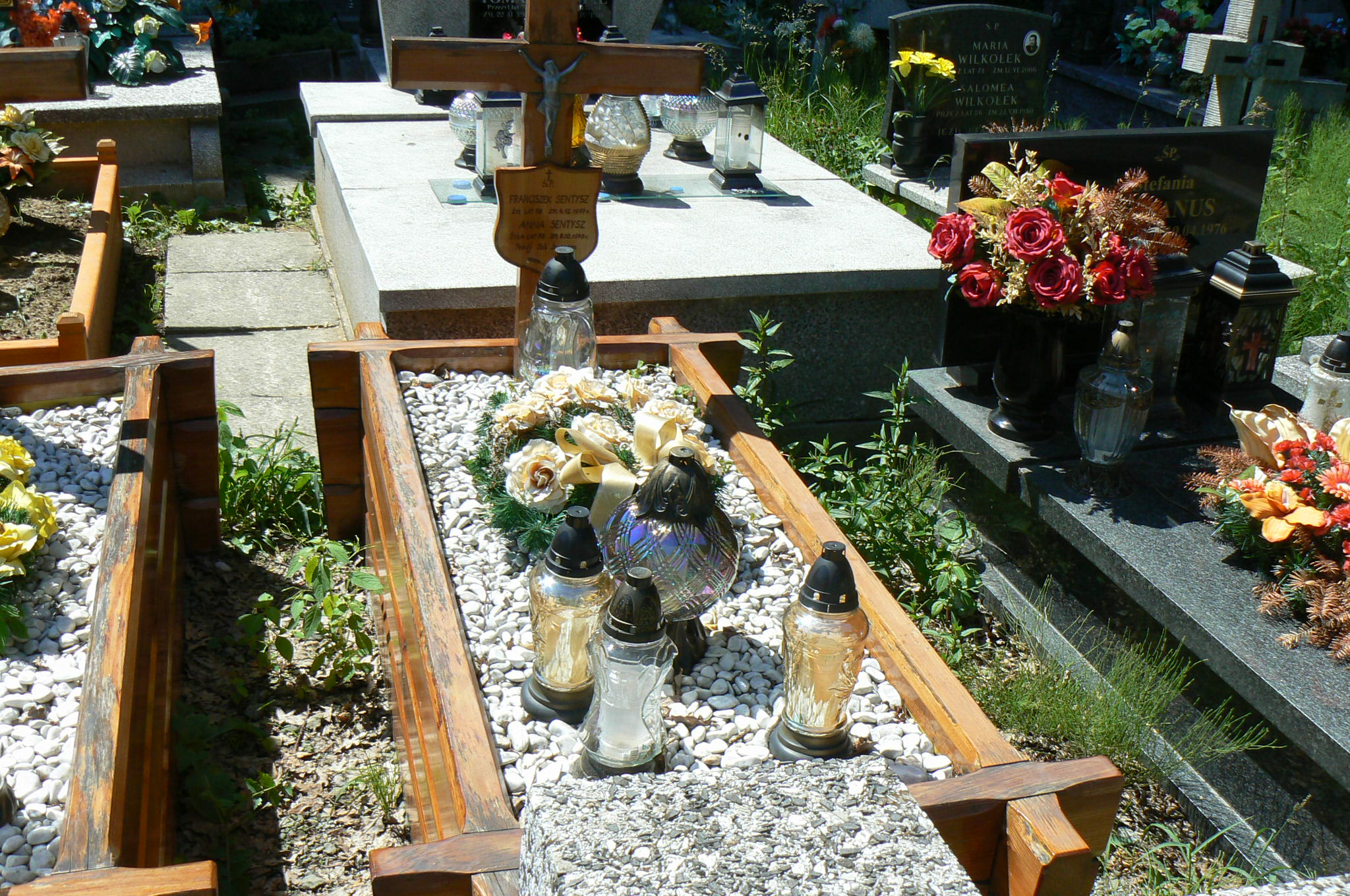 Franciszek Sentysz 1892 Myślenice - Grobonet - Wyszukiwarka osób pochowanych