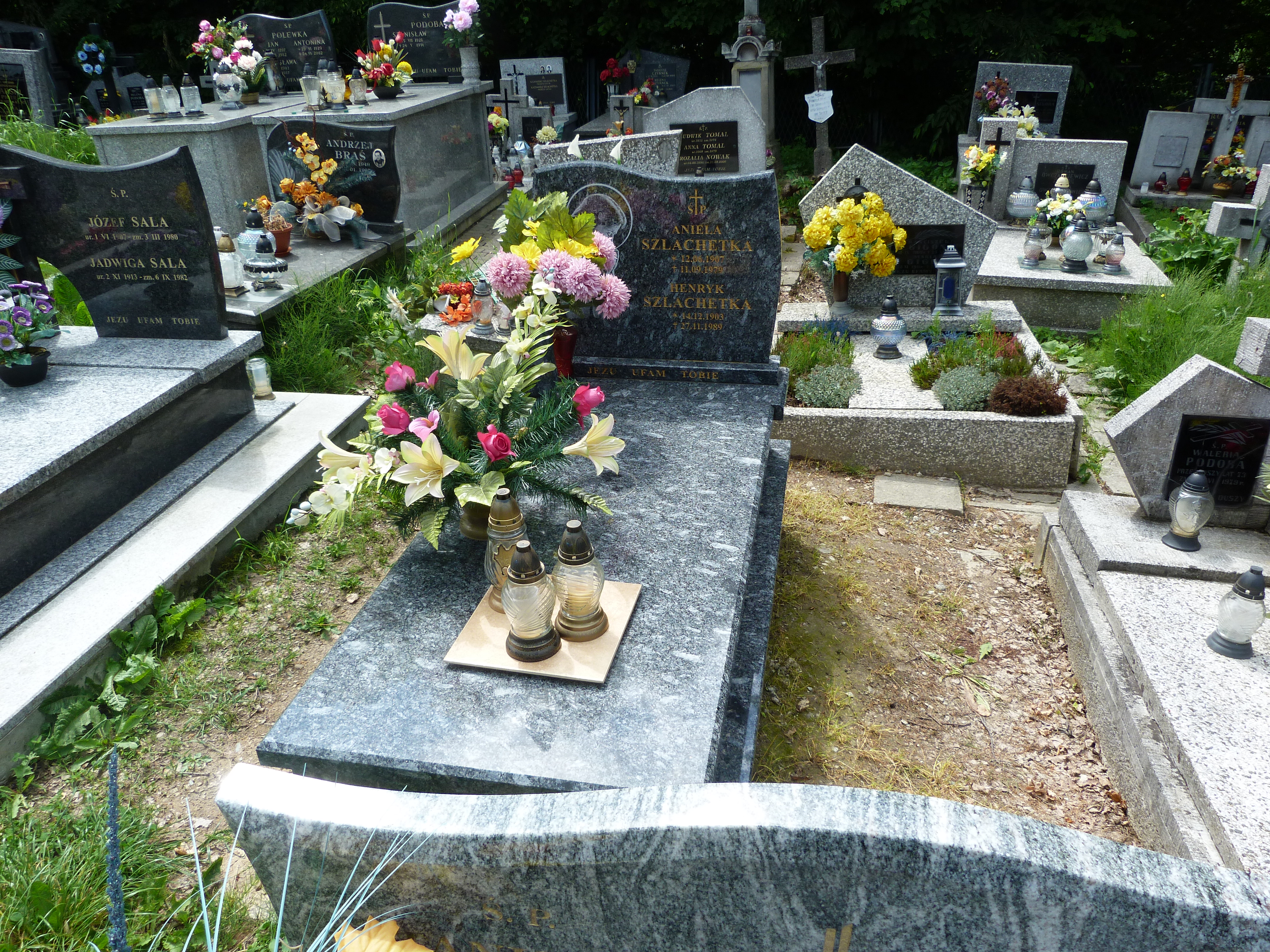 Grób Henryk Szlachetka