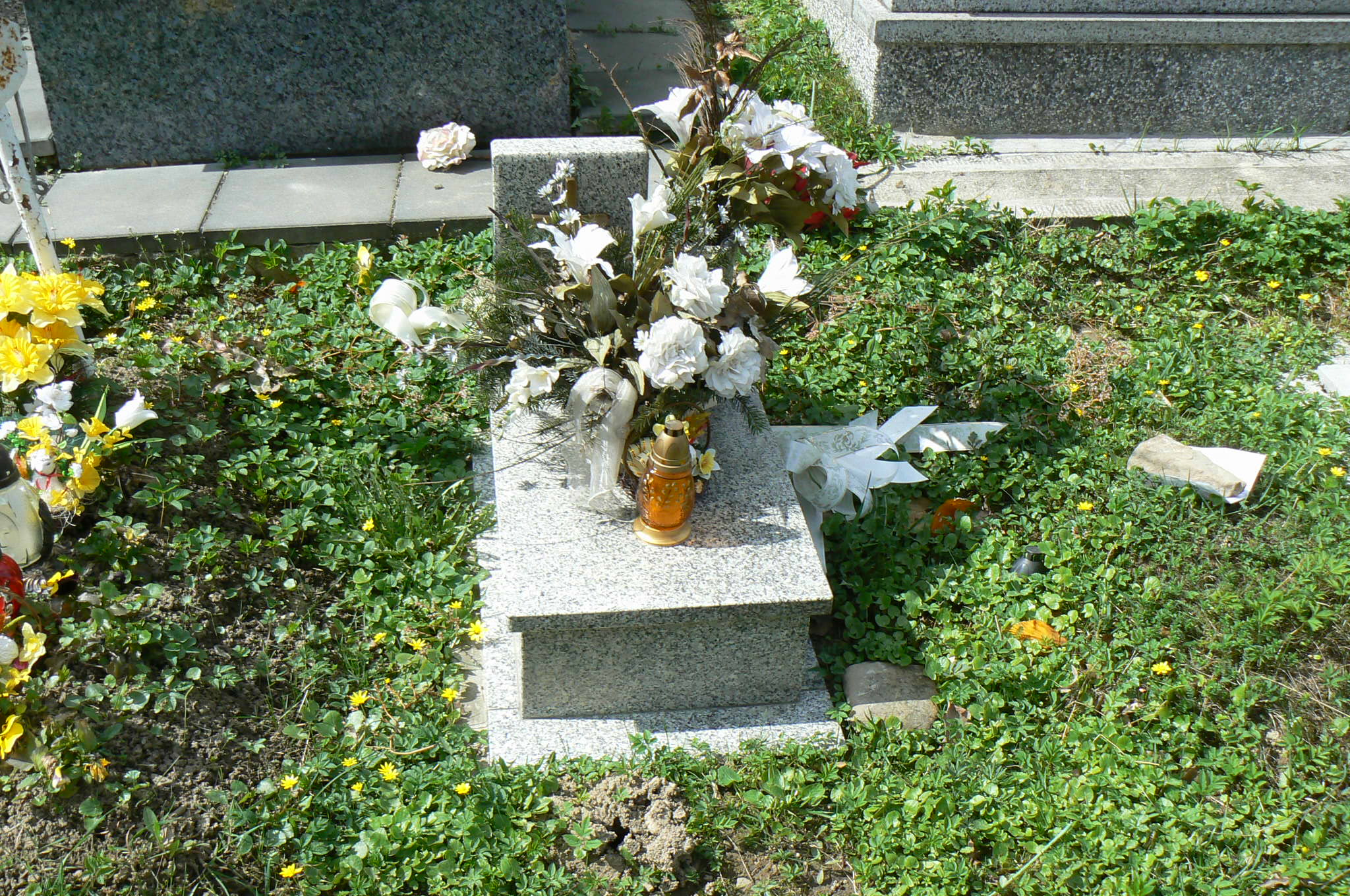 Lucyna Niepsuj Myślenice - Grobonet - Wyszukiwarka osób pochowanych