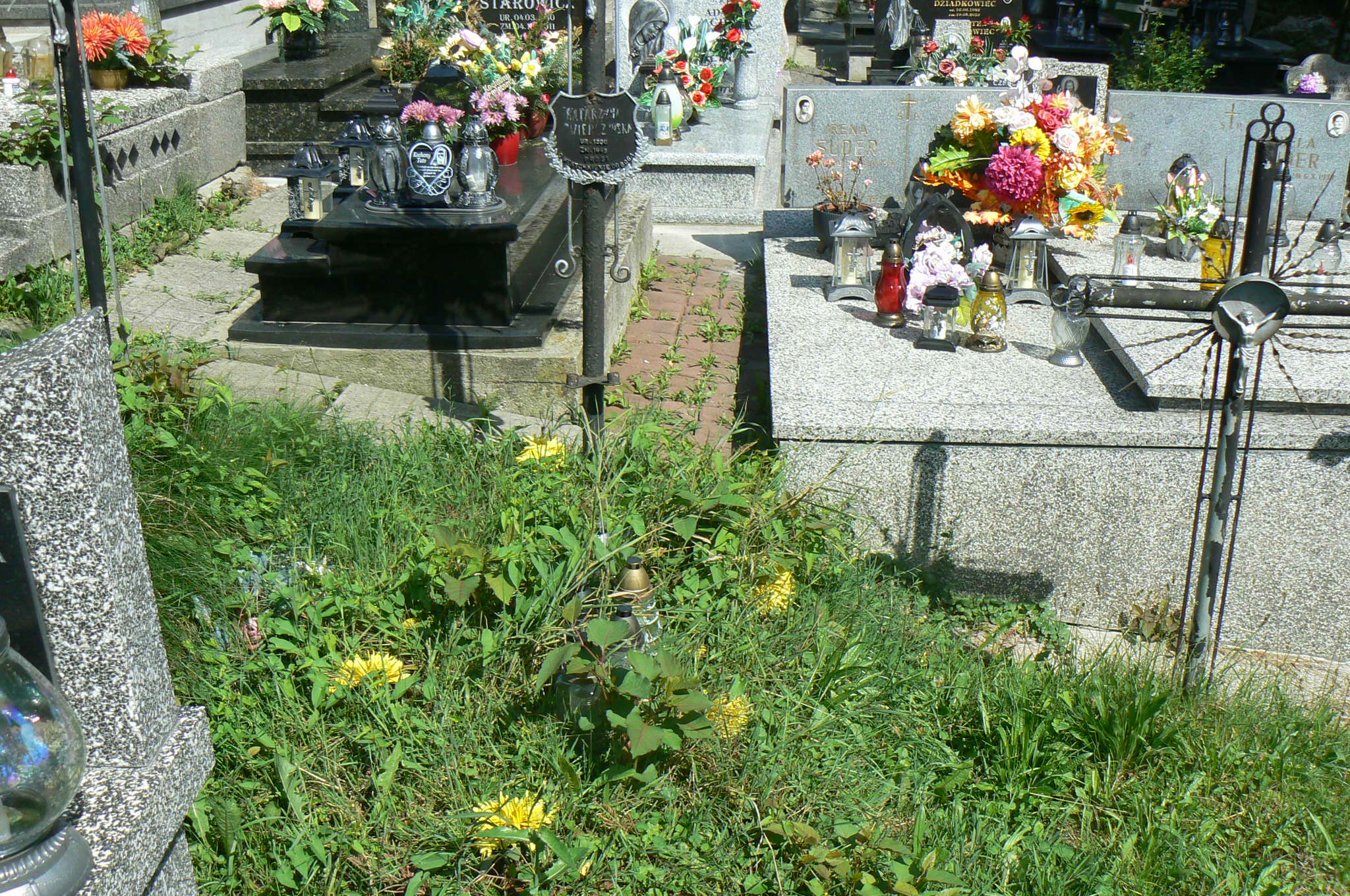 Katarzyna Świerczyńska 1900 Myślenice - Grobonet - Wyszukiwarka osób pochowanych